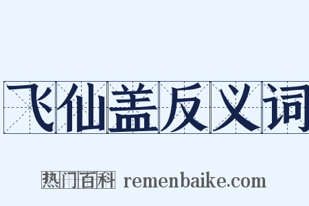 飞仙盖反义词是什么意思的图片